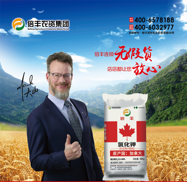 化肥产品宣传2.png